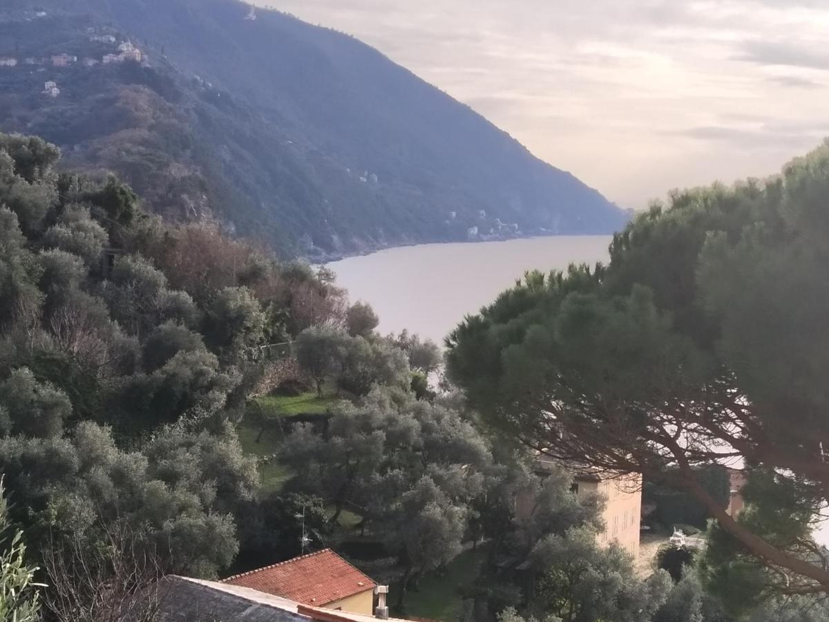 Villa San Prospero Camogli Esterno foto