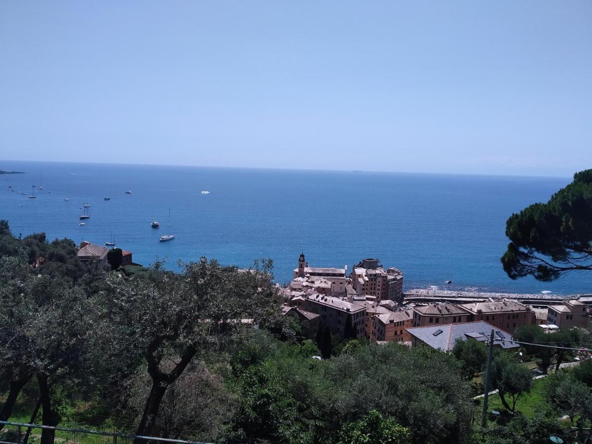 Villa San Prospero Camogli Esterno foto