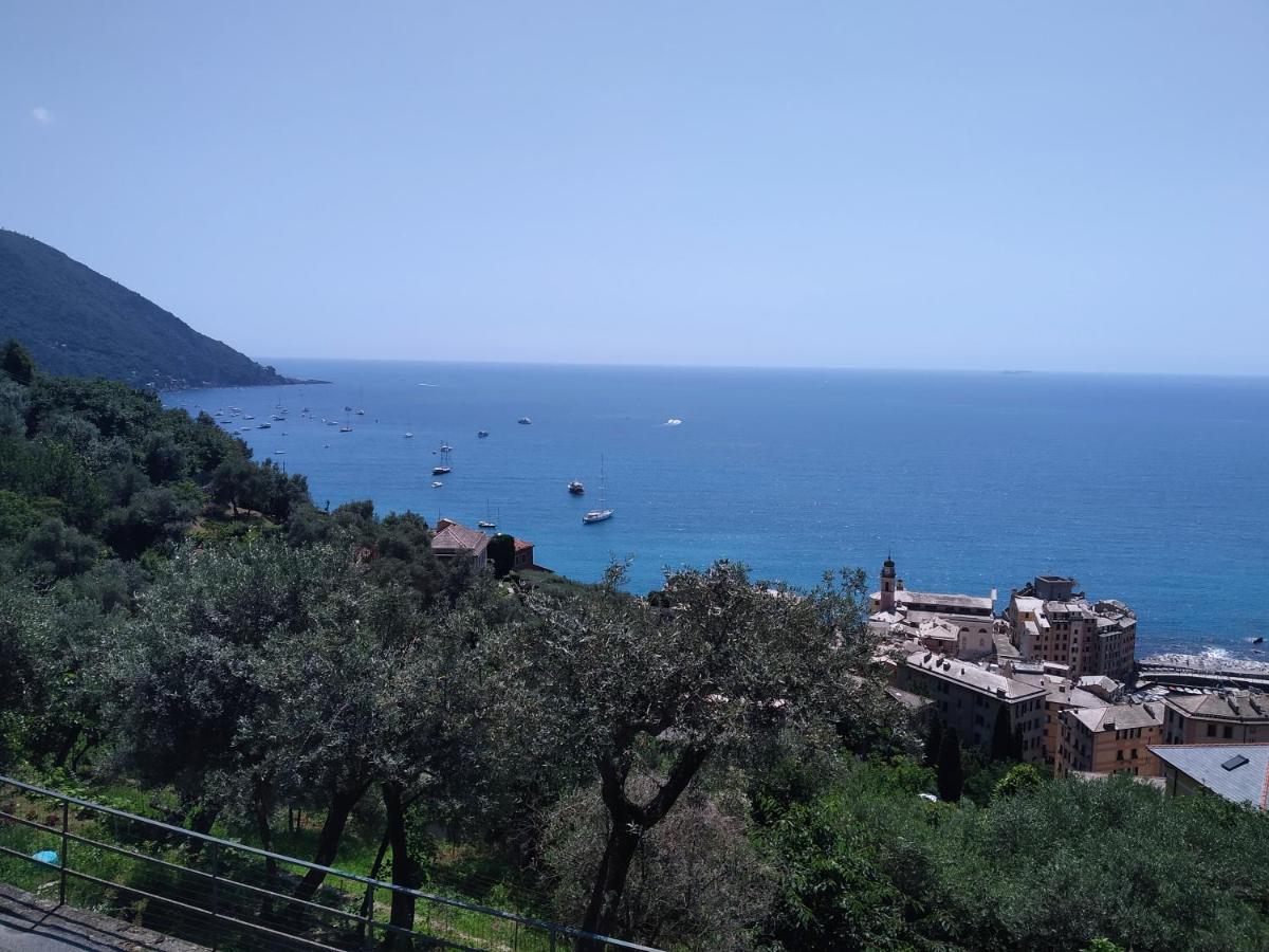 Villa San Prospero Camogli Esterno foto