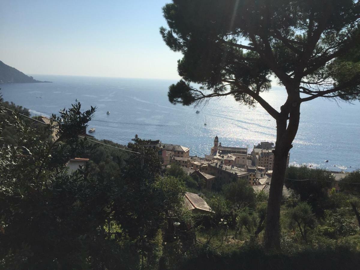 Villa San Prospero Camogli Esterno foto
