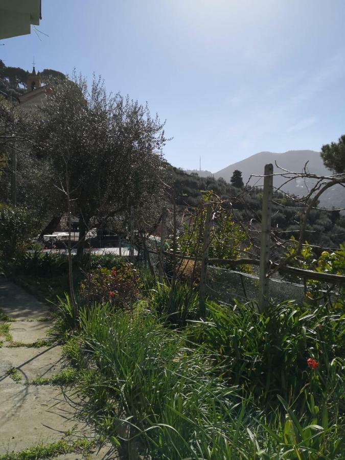 Villa San Prospero Camogli Esterno foto