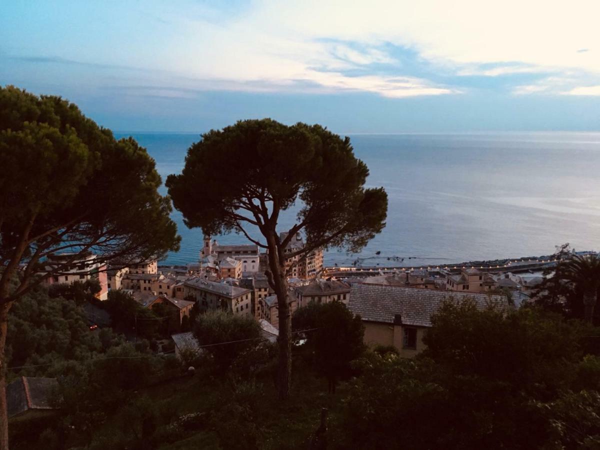 Villa San Prospero Camogli Esterno foto
